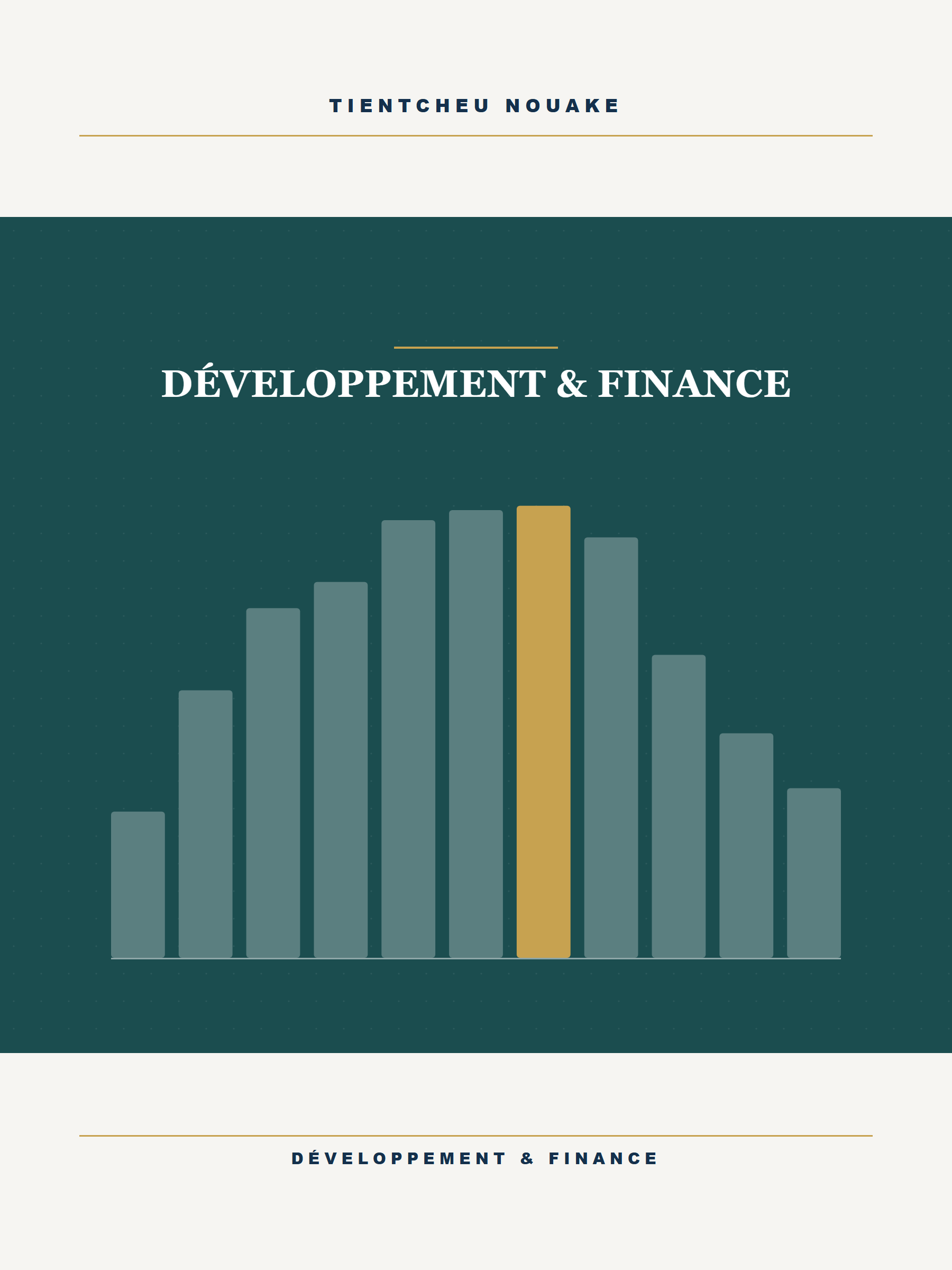 Couverture graphique du pilier Développement & Finance : diagramme en barres sur fond vert sombre.